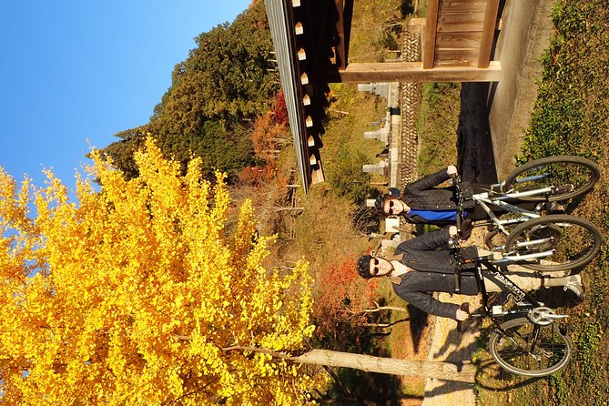 Short Morning Cycling Tour in Hida - Accessibility and Group Size Information
