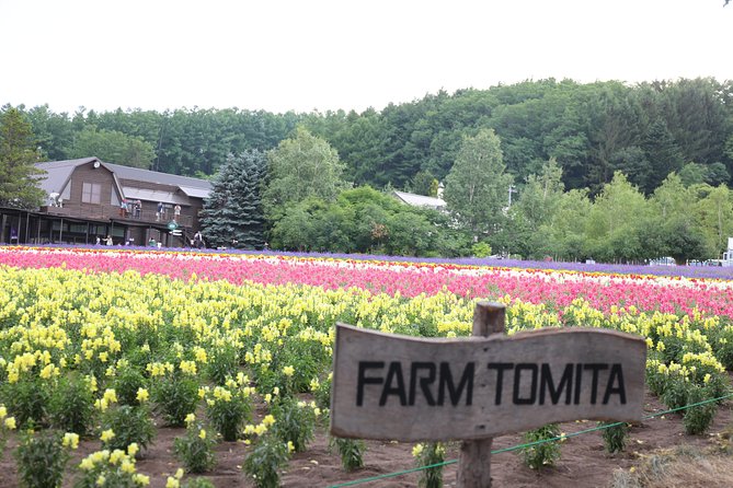 Asahiyama Zoo, Aoiike, Farm Tomita, Ningle Terrace (from Sapporo) - Frequently Asked Questions