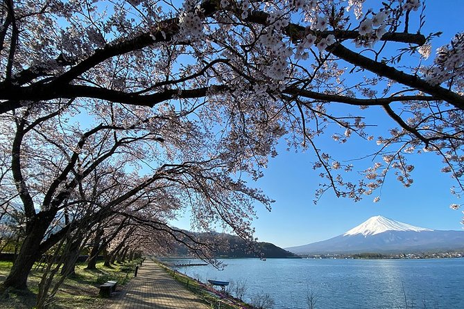 Bike Around Mount Fuji Tour - The Sum Up