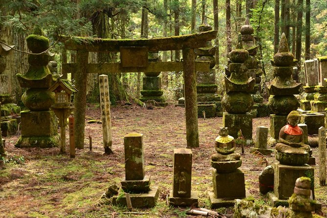 Mt. Koya Sacred Full-Day Private Tour (Osaka Departure) With Licensed Guide - Price, Terms, and Additional Information About the Tour