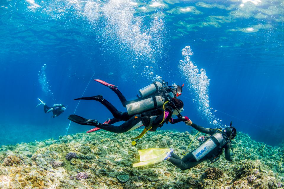 Naha, Okinawa: Kerama Islands Full-Day Intro-Diving Trip - Positive Customer Reviews