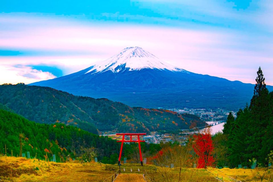 Private Guided Sightseeing Tour in Mount Fuji and Hakone - Directions