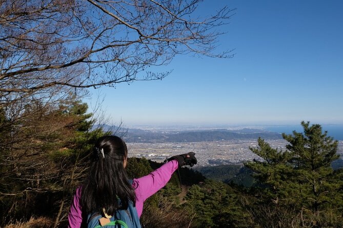 Traverse Outer Rim of Hakone Caldera and Enjoy Onsen Hiking Tour - The Sum Up