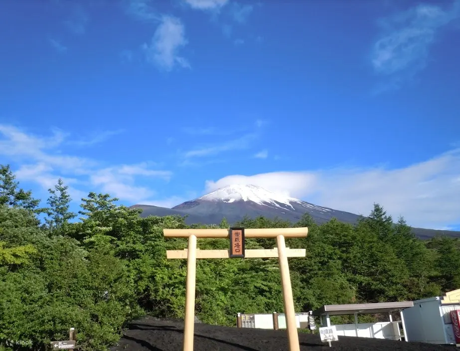Mt. Fuji And Hakone Pirate Ship One Day Tour From Tokyo - What to Expect