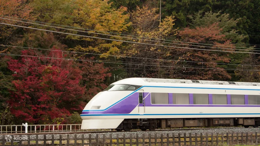 Nikko Pass Digital Ticket / Tobu Railway - Key Takeaways