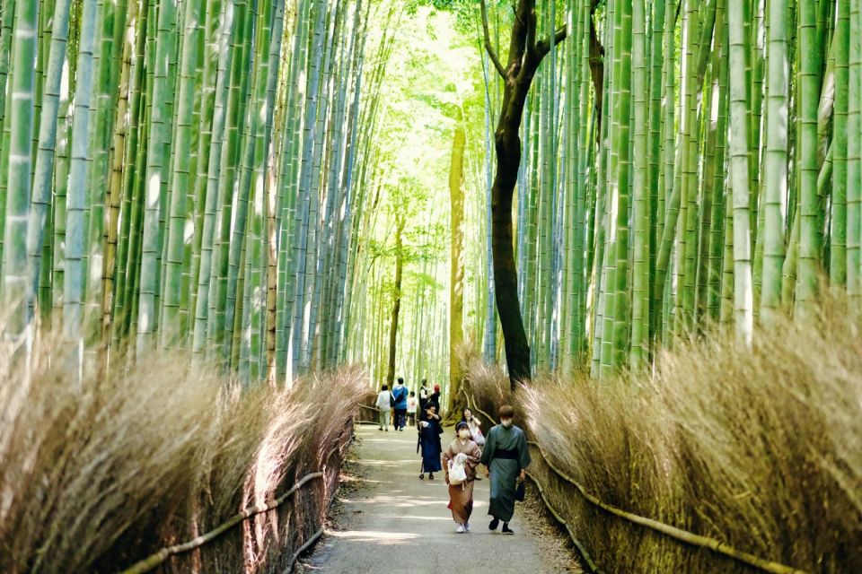 Arashiyama: Self-Guided Audio Tour Through History & Nature - The Sum Up