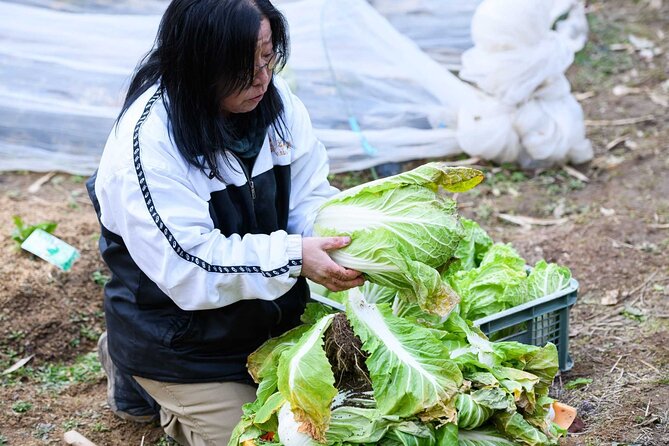 Farming Experience in a Beautiful Rural Village in Nara - The Sum Up