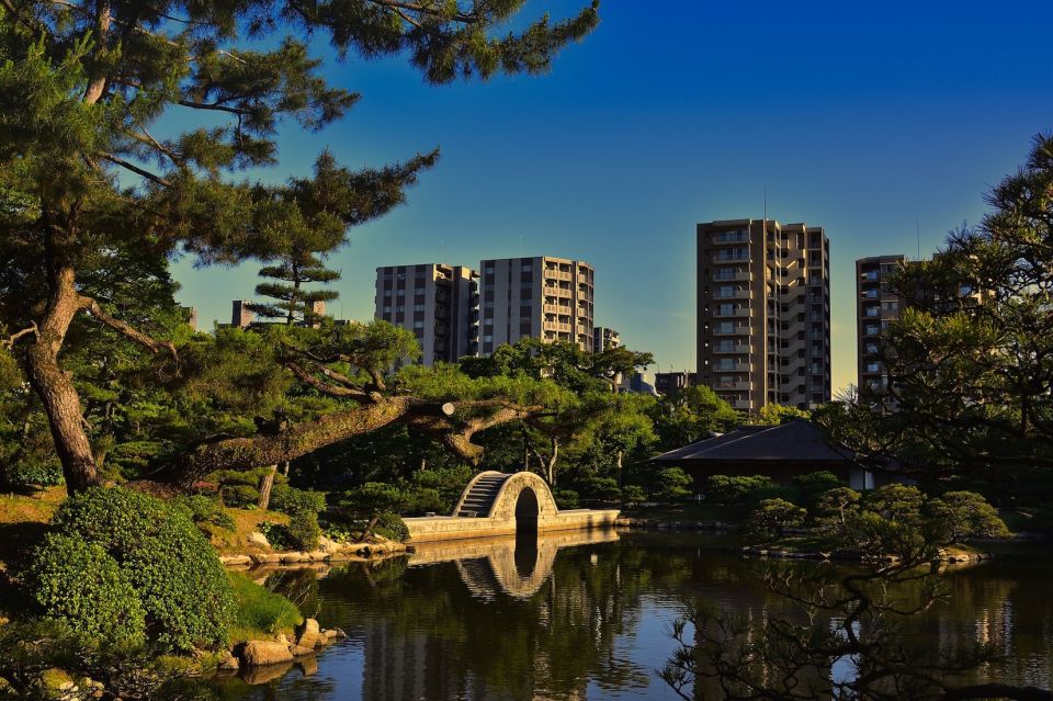 Hiroshima: Hidden Gems and Highlights Private Walking Tour - Positive Reviews and Feedback From Previous Participants