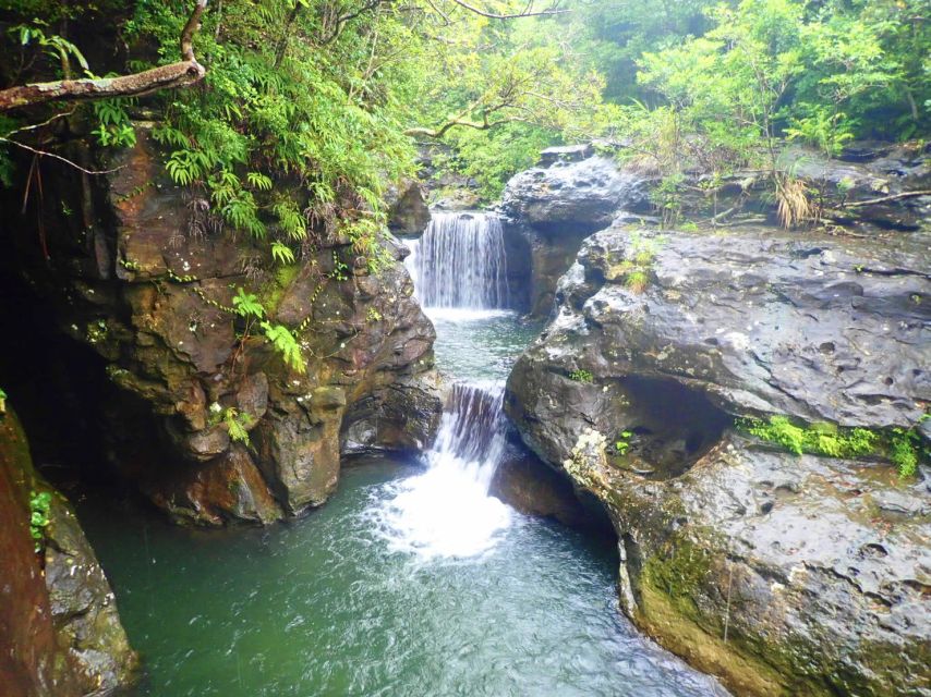 Iriomote Island: Guided 2-Hour Canyoning Tour - Frequently Asked Questions