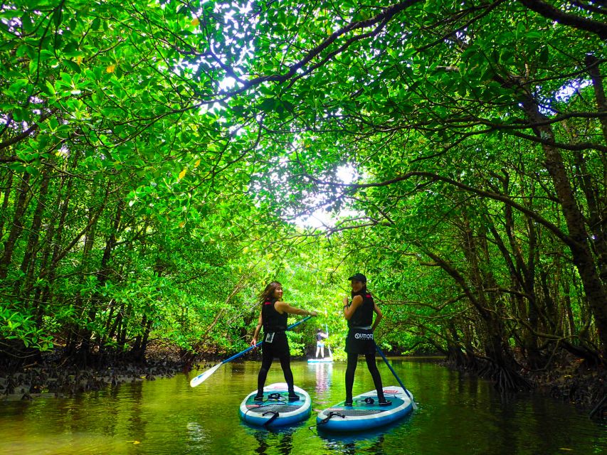 Iriomote Island: Kayaking and Canyoning Tour - Duration and Availability