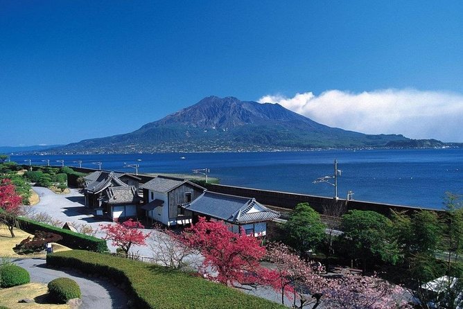 Kagoshima Full-Day Private Tour With Government-Licensed Guide - Frequently Asked Questions