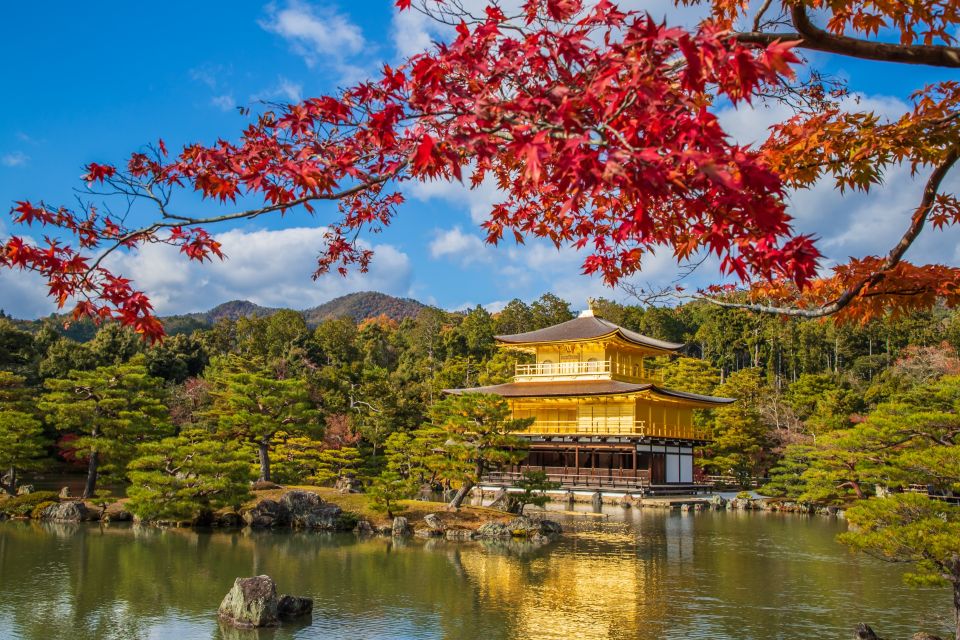 Kyoto and Nara 1 Day Bus Tour From Osaka/Kyoto - Tour Schedule