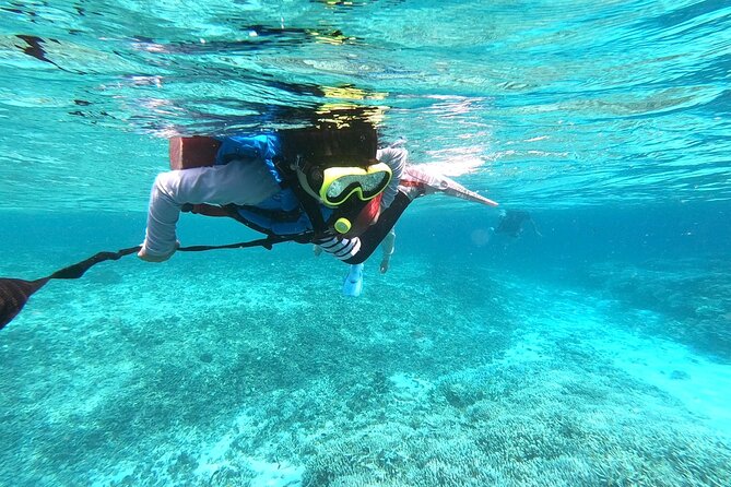 [Okinawa Iriomote] Snorkeling Tour at Coral Island - Customer Reviews and Recommendations