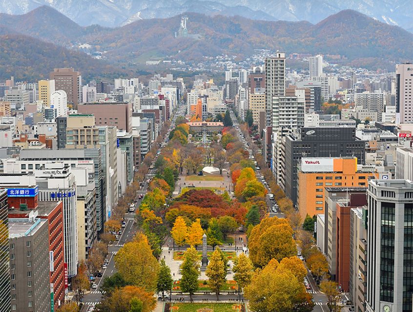 Sapporo: Skip-the-Line Sapporo TV Tower Admission Ticket - The Sum Up