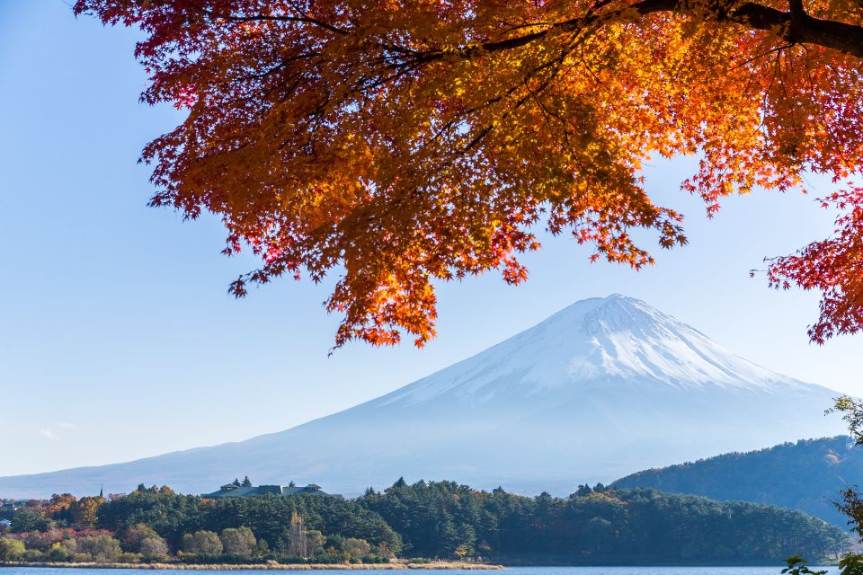 From Tokyo: Mt. Fuji or Hakone Private Sightseeing Day Trip - Positive Reviews