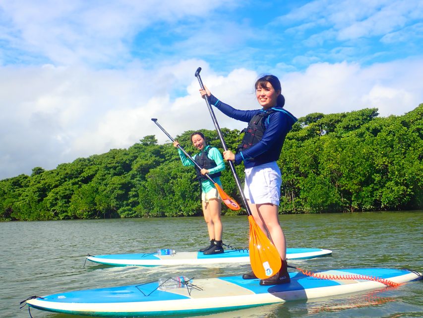 Ishigaki Island: 2-Hour Miyara River Kayaking Tour - Frequently Asked Questions