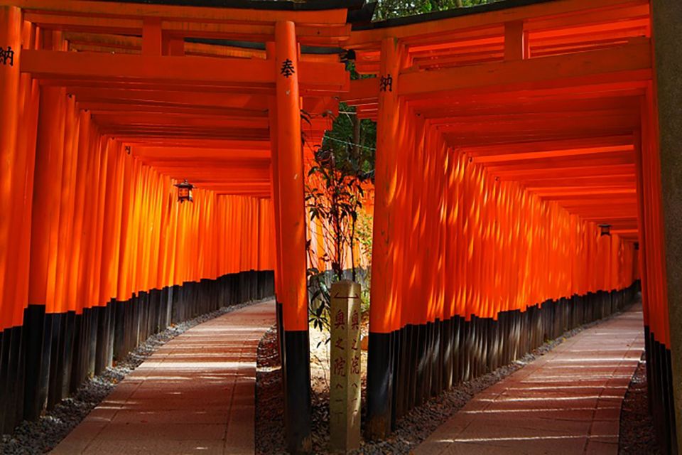 Kyoto and Nara 1 Day Bus Tour From Osaka/Kyoto - Pricing and Booking