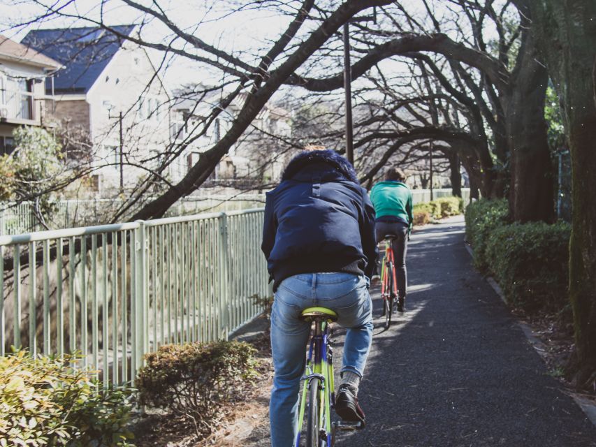 Tokyo: Private West Side Vintage Road Bike Tour - The Sum Up