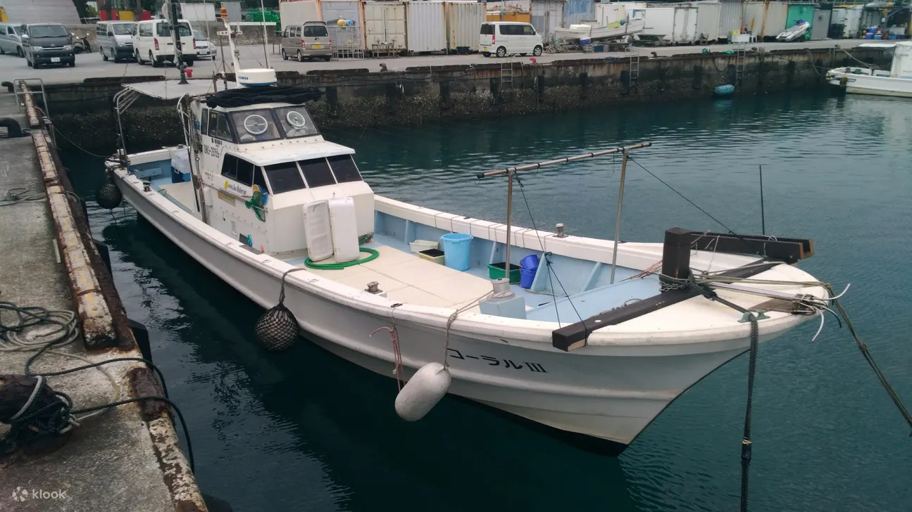 Half-Day Fishing Experience in Naha With Pick up & Drop off Service - Key Takeaways