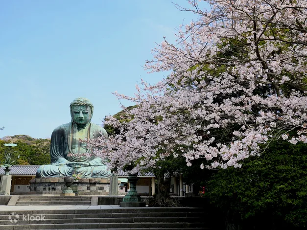 Hakone Kamakura 3-Day Ticket Pass Voucher: Where To Buy & Is It Worth it? - Booking and Redemption