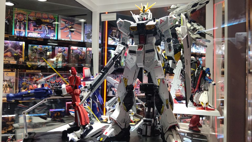 Akihabara: Anime and Electronics Guided Tour - The Sum Up