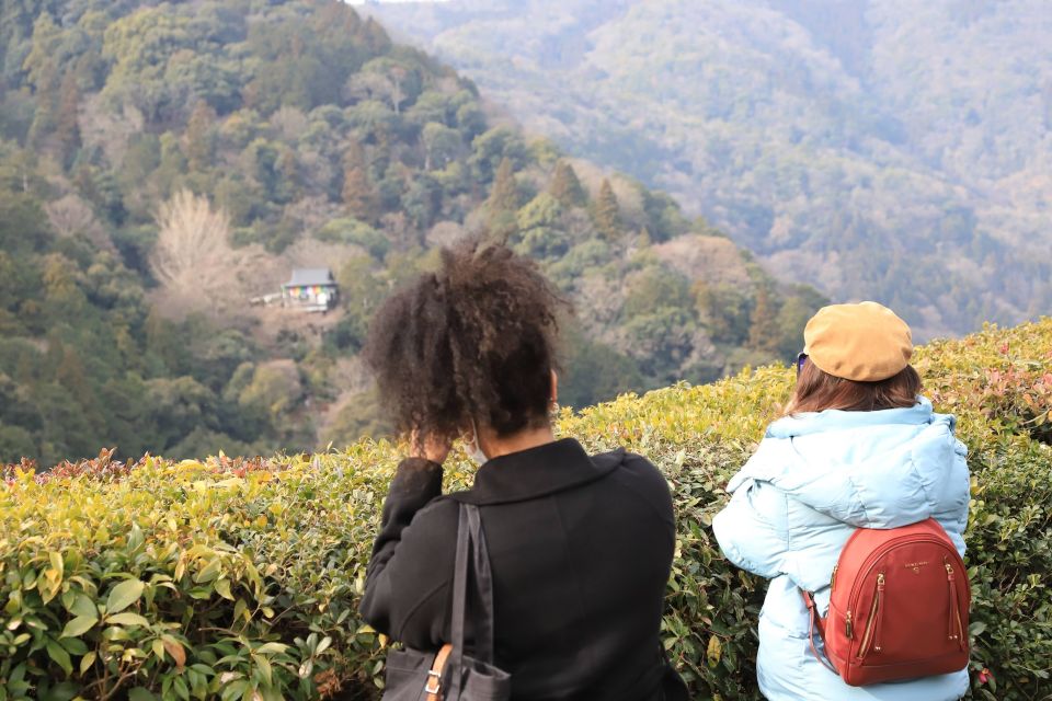 Kyoto: Arashiyama Bamboo Forest Walking Food Tour - The Sum Up