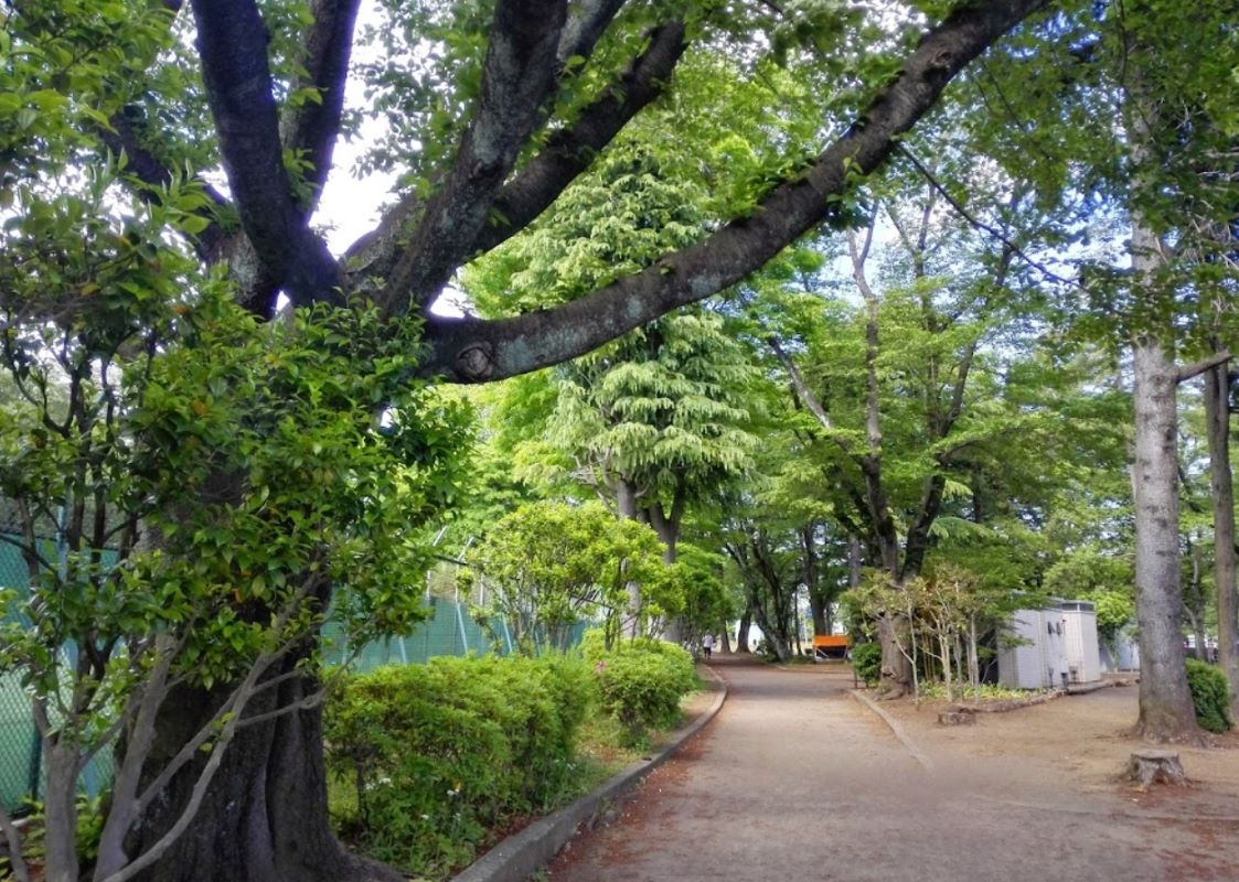 Asahigaoka Central Park