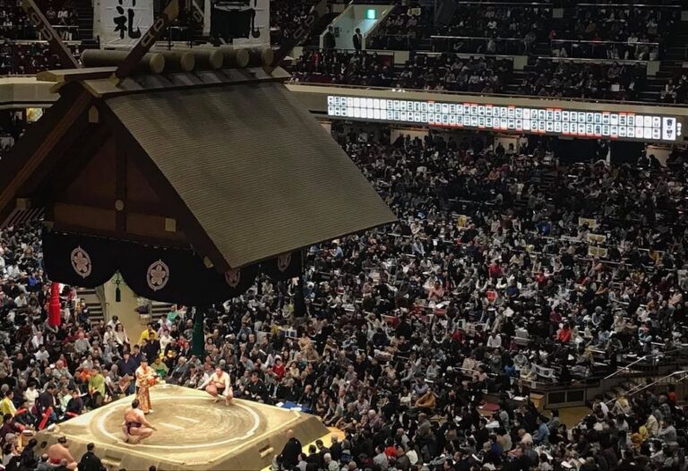 How to Watch Sumo in Tokyo Best Tickets, Tours & Tips