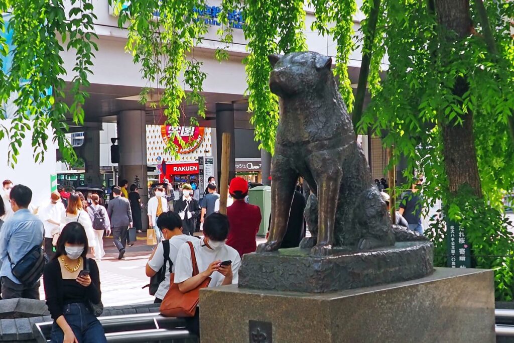 Hachiko Statue Shibuya