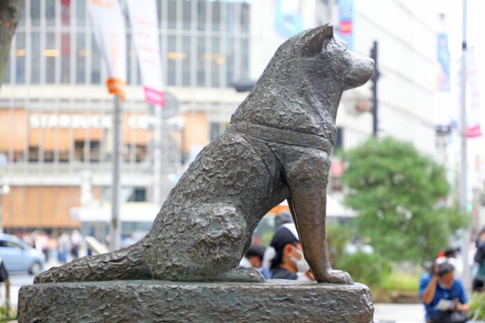 Hachiko Statue: The Loyal Dog Of Shibuya