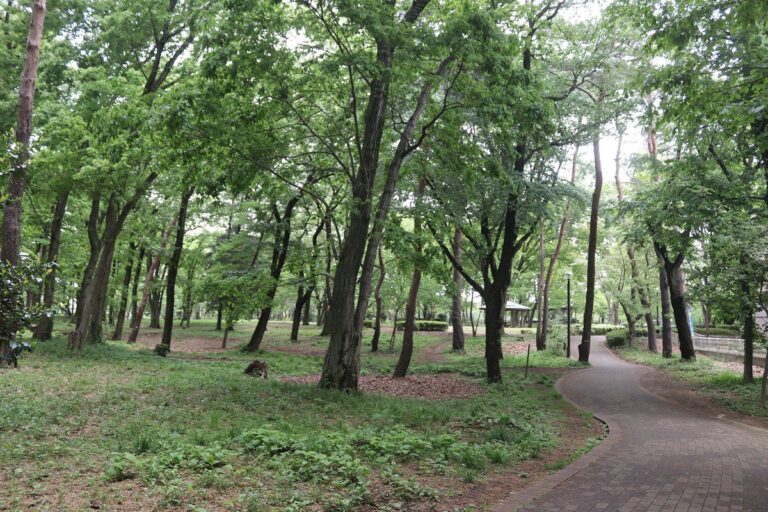 Higashimurayama Central Park