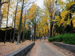 Johoku Chuo Park Nerima