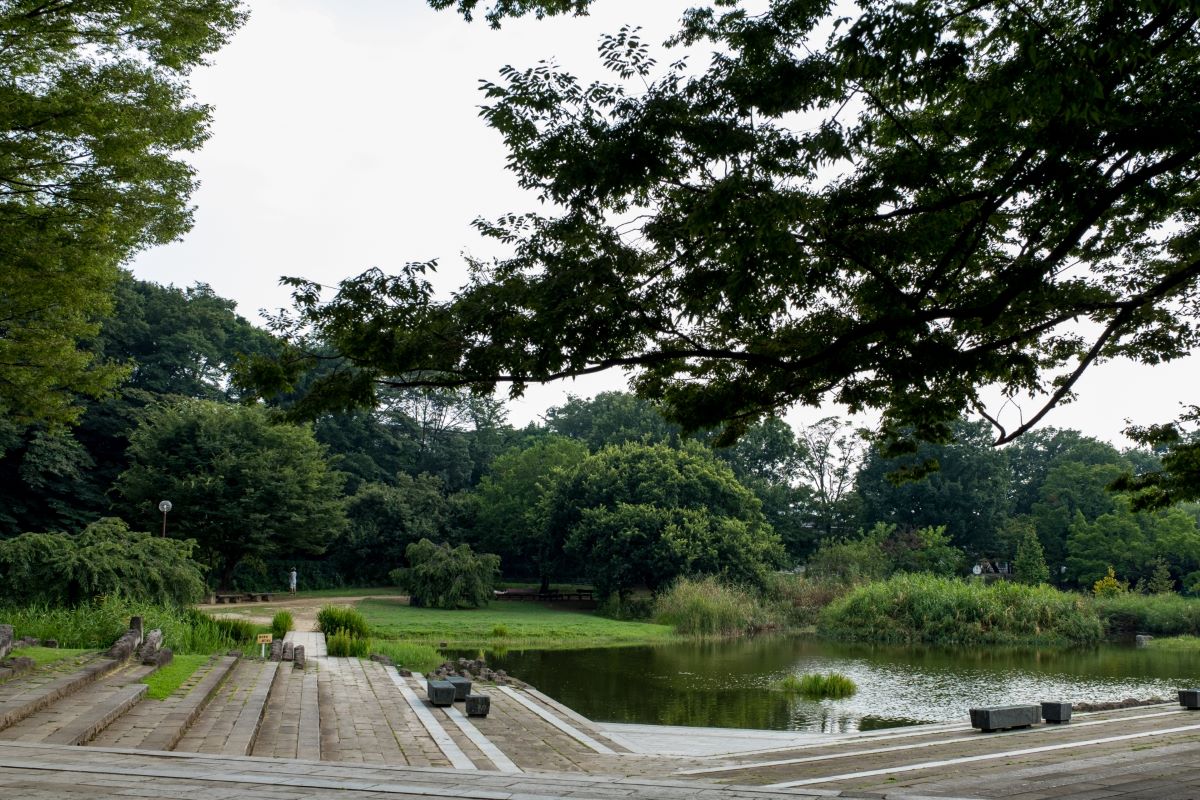 Kiyose Kanayama Ryokuchi Park
