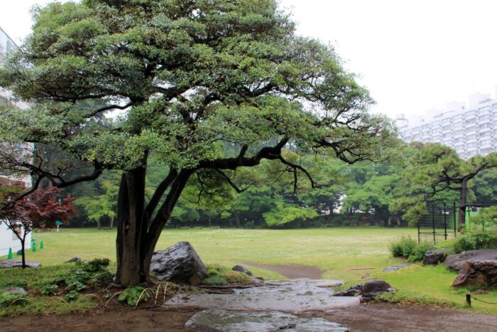 Kyu Iwasaki tei Gardens