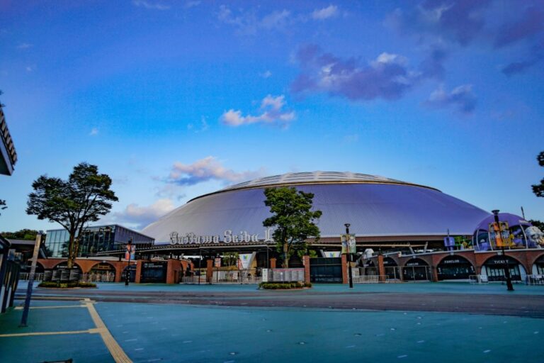 Belluna Dome (Metlife Dome) Baseball Stadium