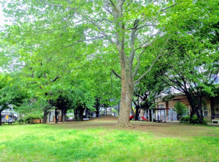 Mukunoki Park