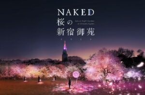 NAKED Sakura Night Garden at Shinjuku Gyoen