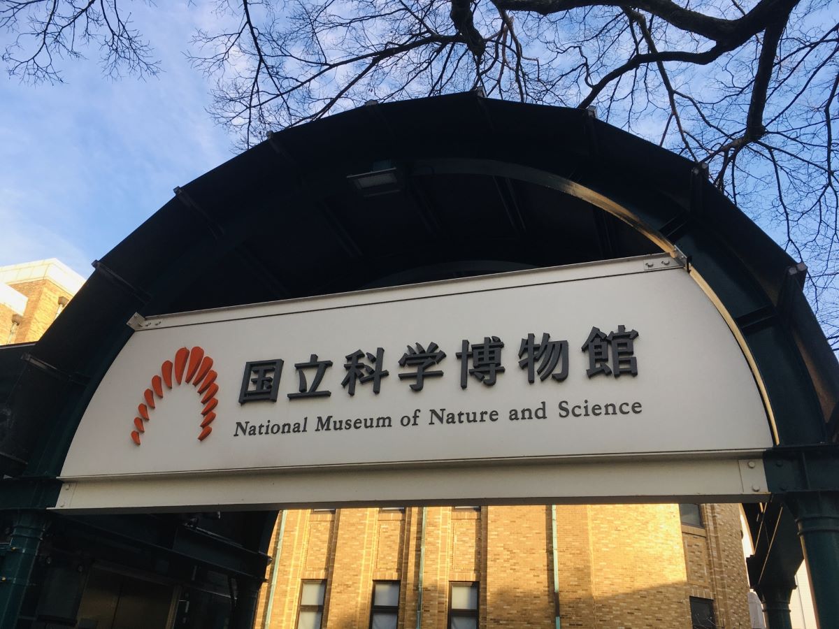Tokyo National Museum Of Nature And Science Ticket