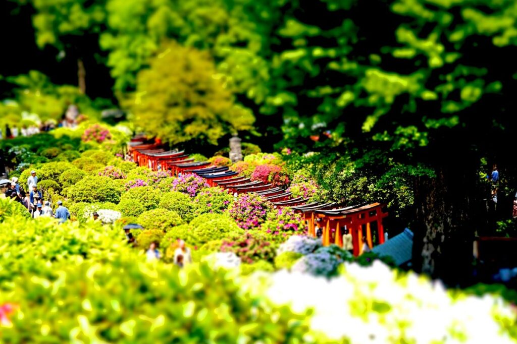 Nezu Shrine Bunkyo