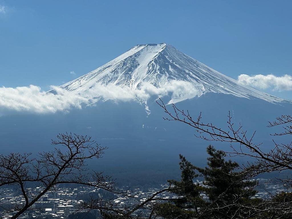 Private Full Day Sightseeing Tour to Mount Fuji and Hakone Viator