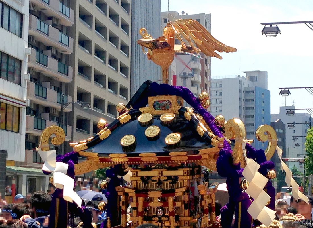 Sanja Matsuri: Tokyo's Largest and Wildest Festival