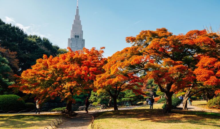 15 Best Parks In Tokyo