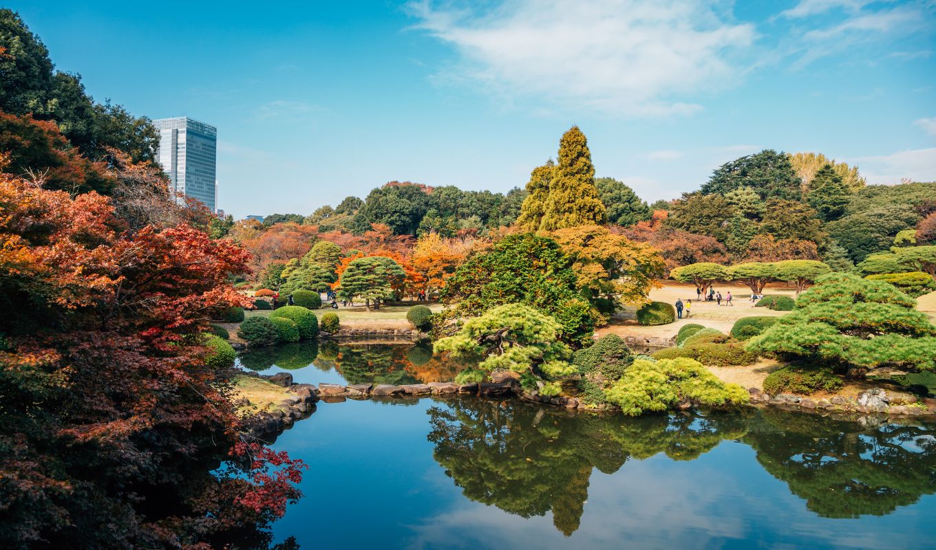 The 12 Best Japanese Gardens In Tokyo