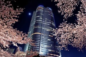 Tokyo Cherry Blossom