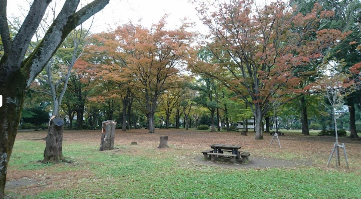 Wakagusa Park Ome