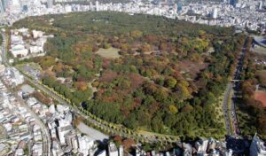 Yoyogi Koen Park In Tokyo
