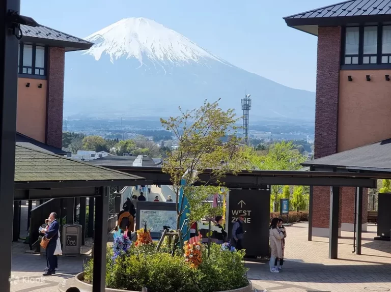 Mt. Fuji View Gotemba Premium Outlets One Day Tour From Tokyo