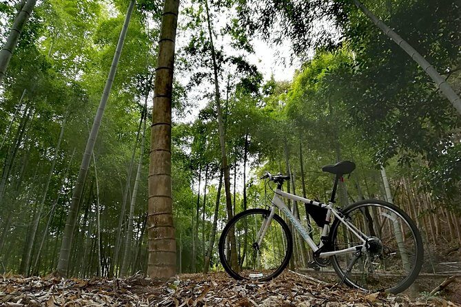 arashiyama-bamboo-bike-tour-early-bird5