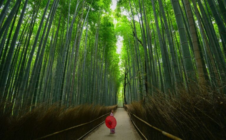 Arashiyama: Self-Guided Audio Tour Through History & Nature