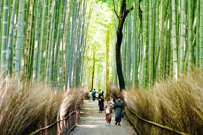 Arashiyama Walking Tour - Bamboo Forest, Monkey Park & Secrets - Exploring the Enchanting Bamboo Forest